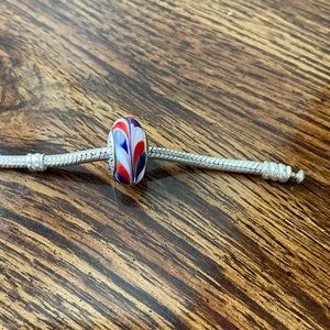 Pandora Murano Glass Charm